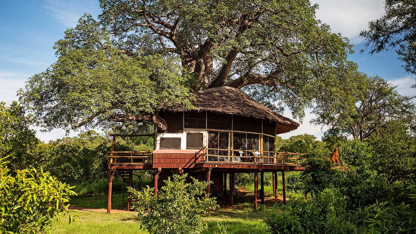 Tarangire Treetops — Treehouse suite raised among the branches