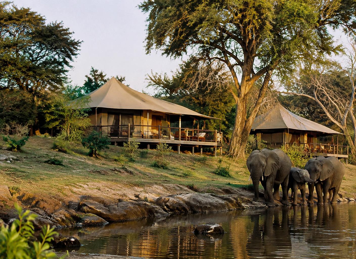 Elephant Springs tented suites beside a natural spring where elephants come to drink