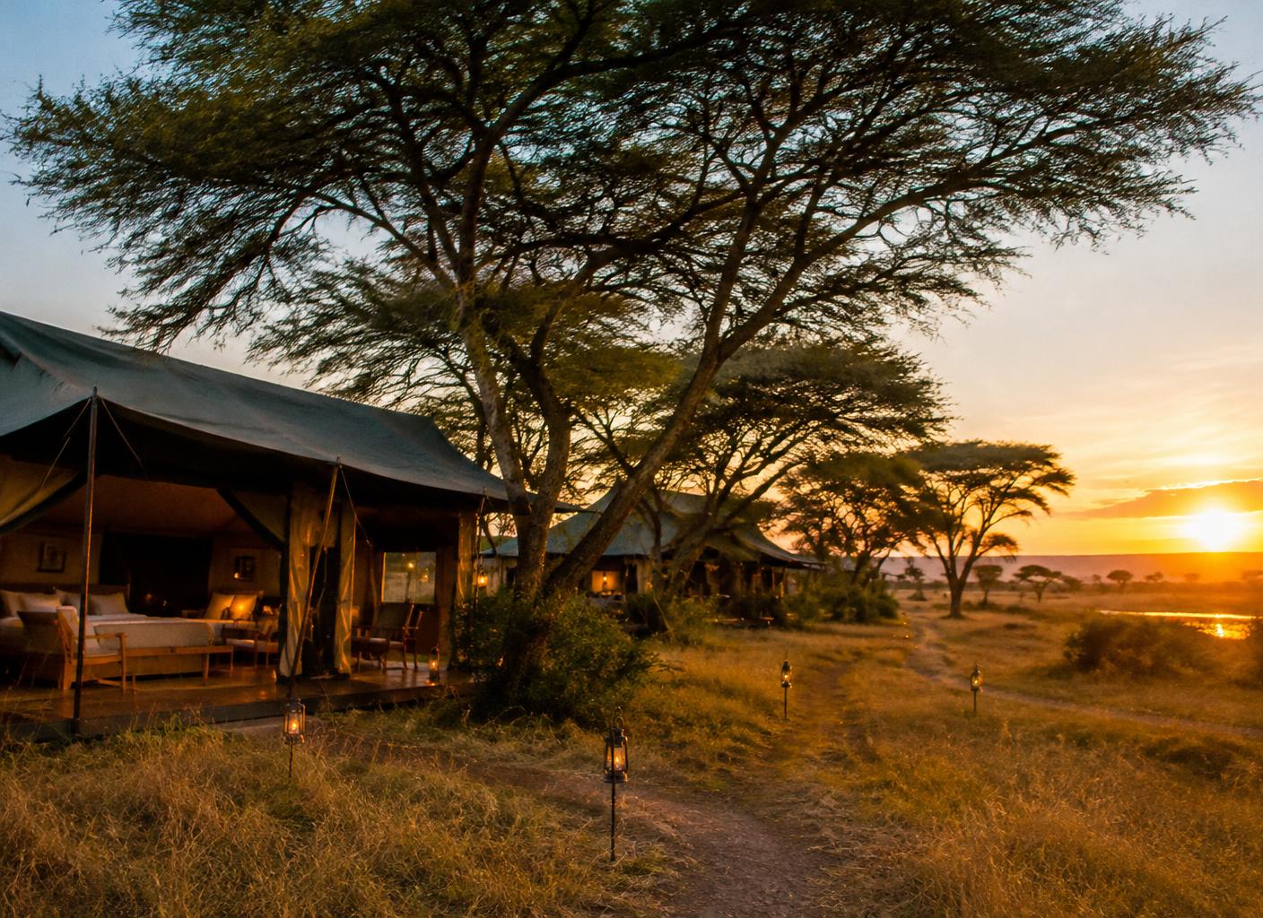 Mapito Tented Camp canvas tents beneath acacia trees in the western Serengeti