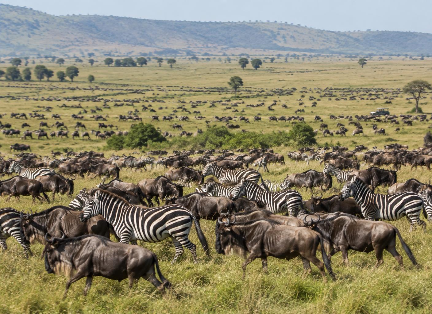 The Great Migration