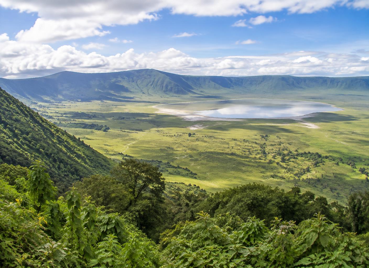 The vast green floor of the Ngorongoro Crater seen from the crater rim